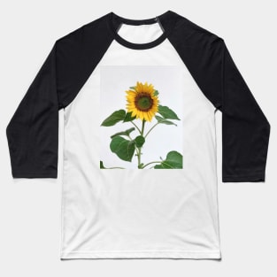 Sunflower Baseball T-Shirt